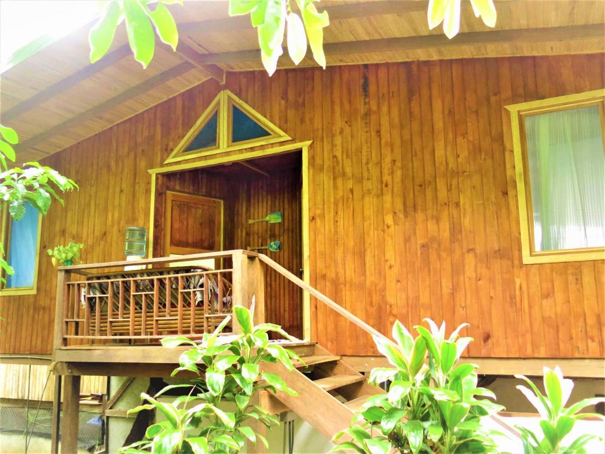 Ocean Forest Ecolodge San Pedrillo Exterior foto