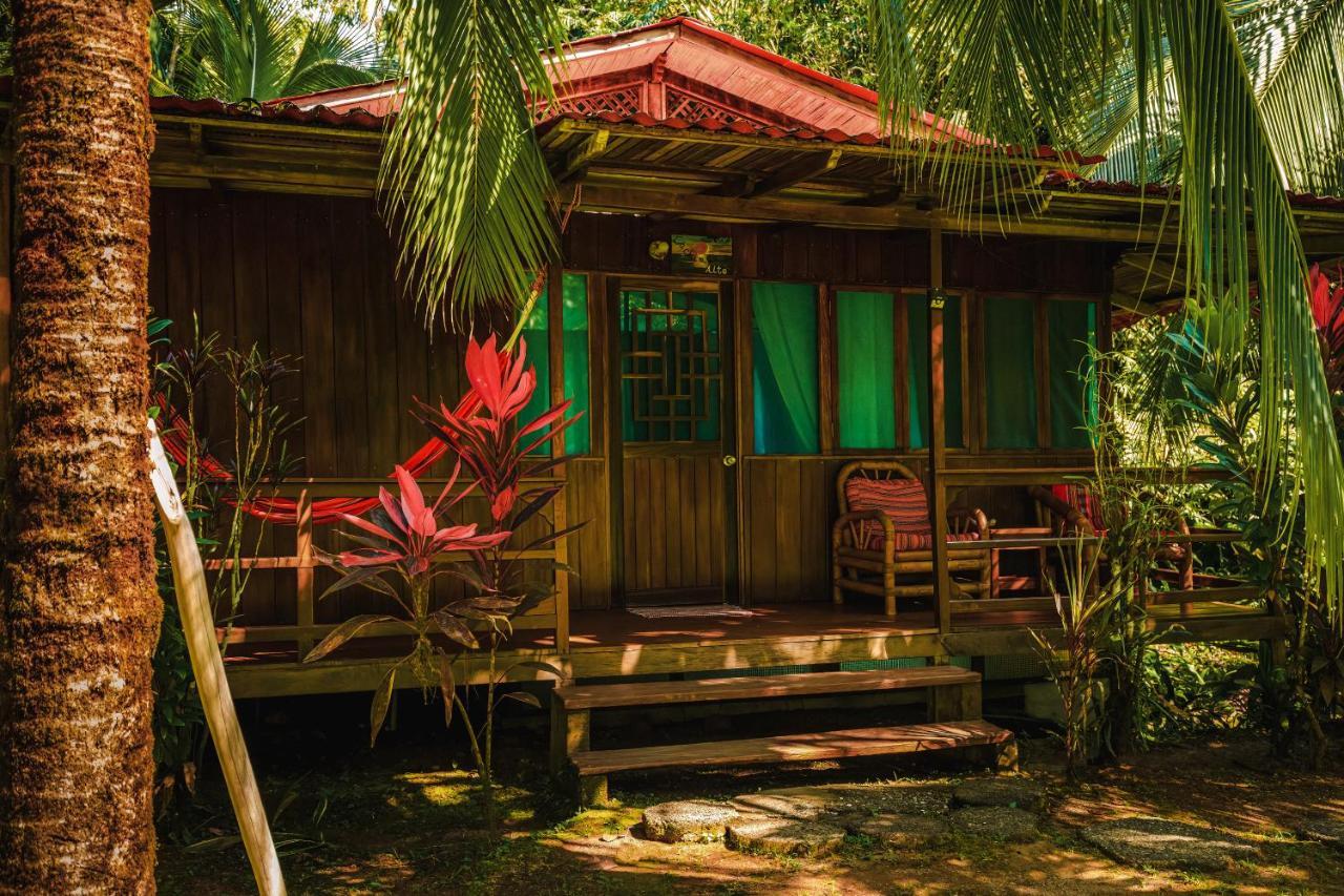 Ocean Forest Ecolodge San Pedrillo Exterior foto