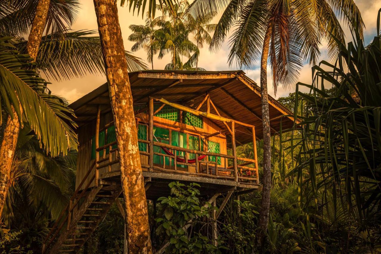 Ocean Forest Ecolodge San Pedrillo Exterior foto