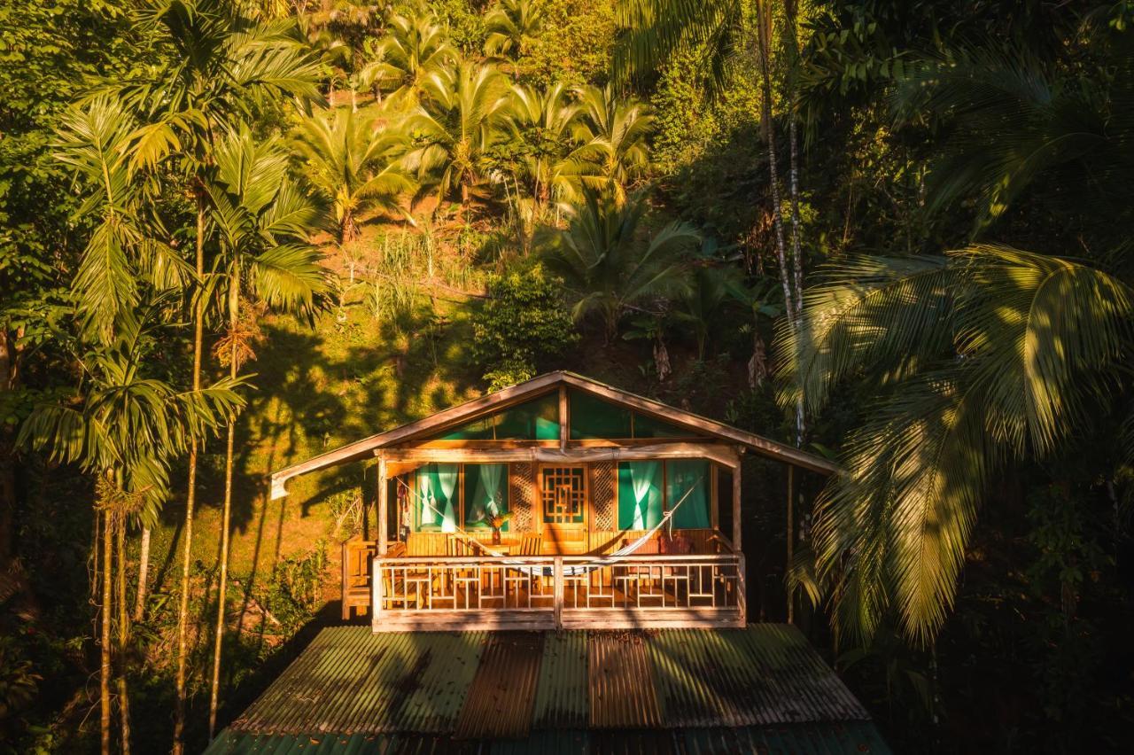 Ocean Forest Ecolodge San Pedrillo Exterior foto