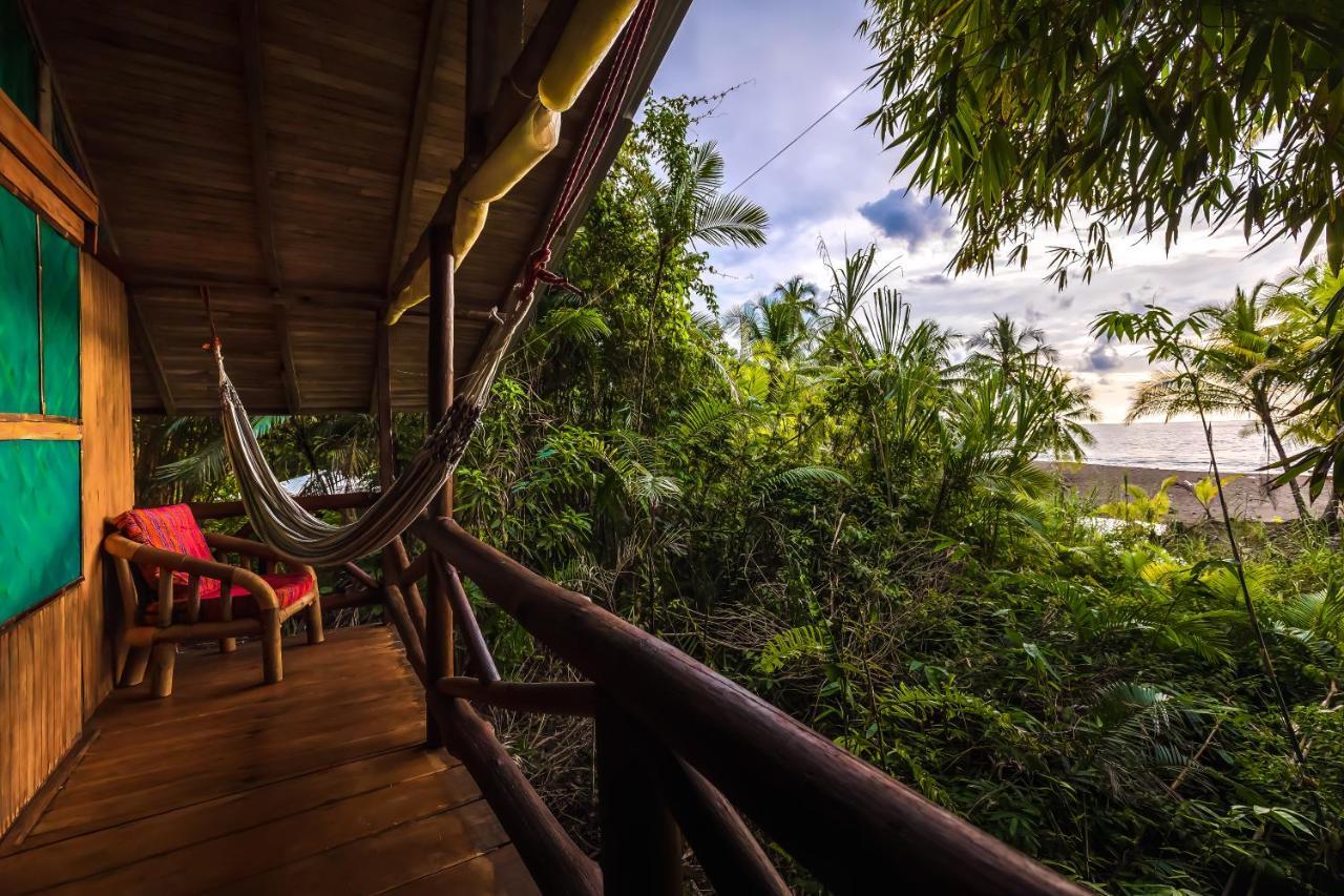 Ocean Forest Ecolodge San Pedrillo Exterior foto