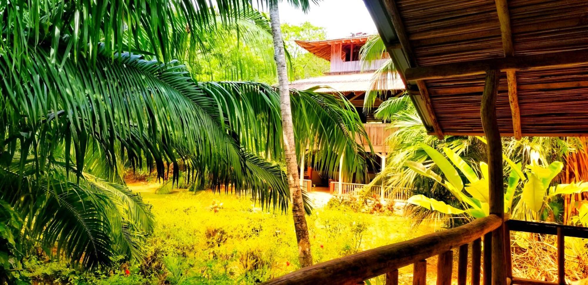Ocean Forest Ecolodge San Pedrillo Exterior foto