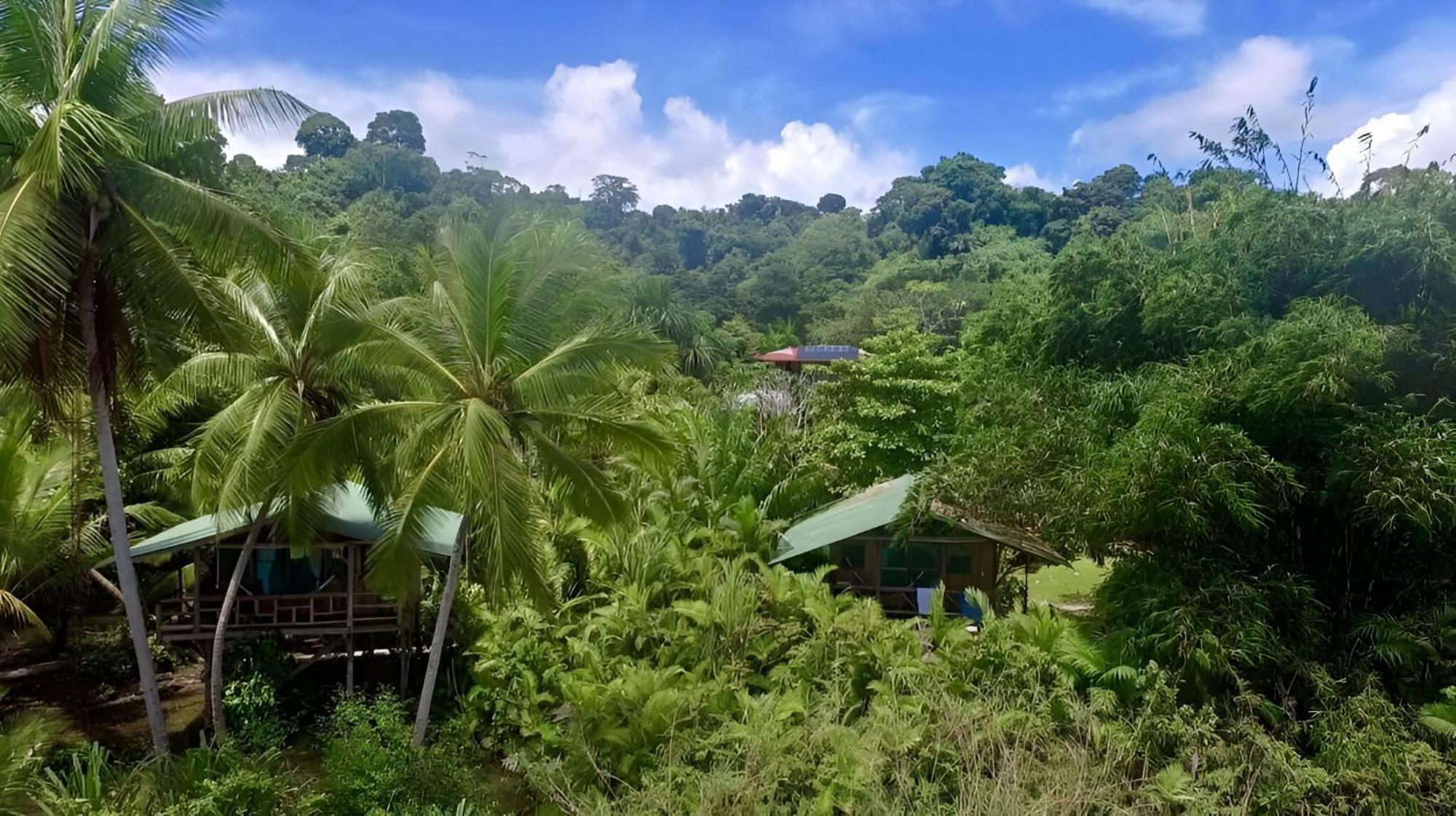 Ocean Forest Ecolodge San Pedrillo Exterior foto