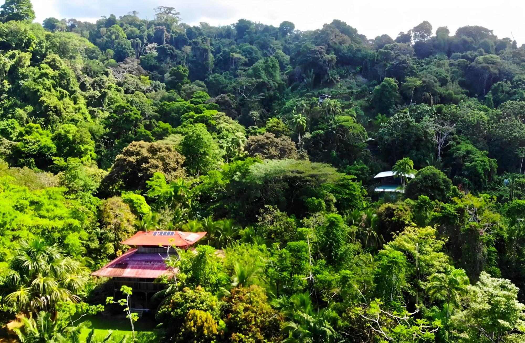 Ocean Forest Ecolodge San Pedrillo Exterior foto
